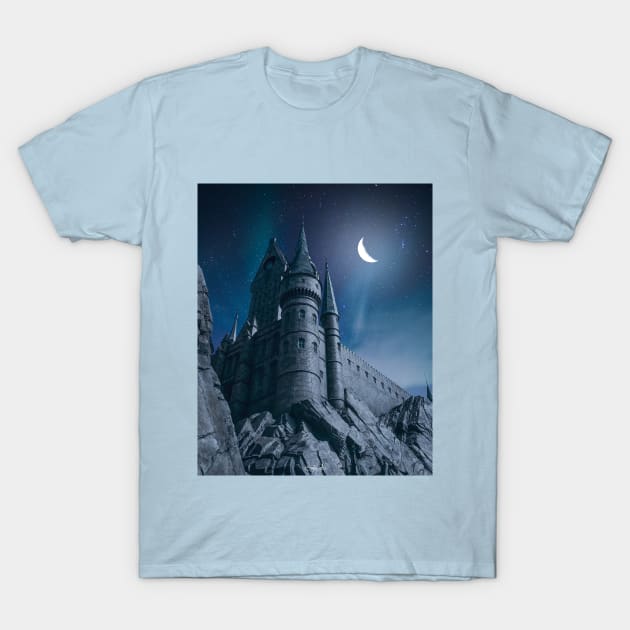 The Castle T-Shirt by ArijitWorks